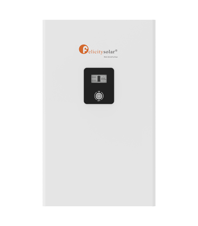 Batterie Lithium Felicity 5Kwh (48V – 100AH)